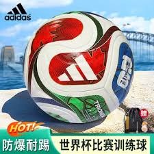 阿森纳2425赛季英超夺冠与欧冠决赛分析